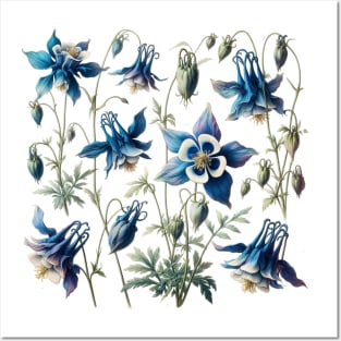 Blue columbine Flowers Vintage Botanical Posters and Art